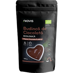 Budinca de Ciocolata fara Gluten Ecologica/BIO 100g